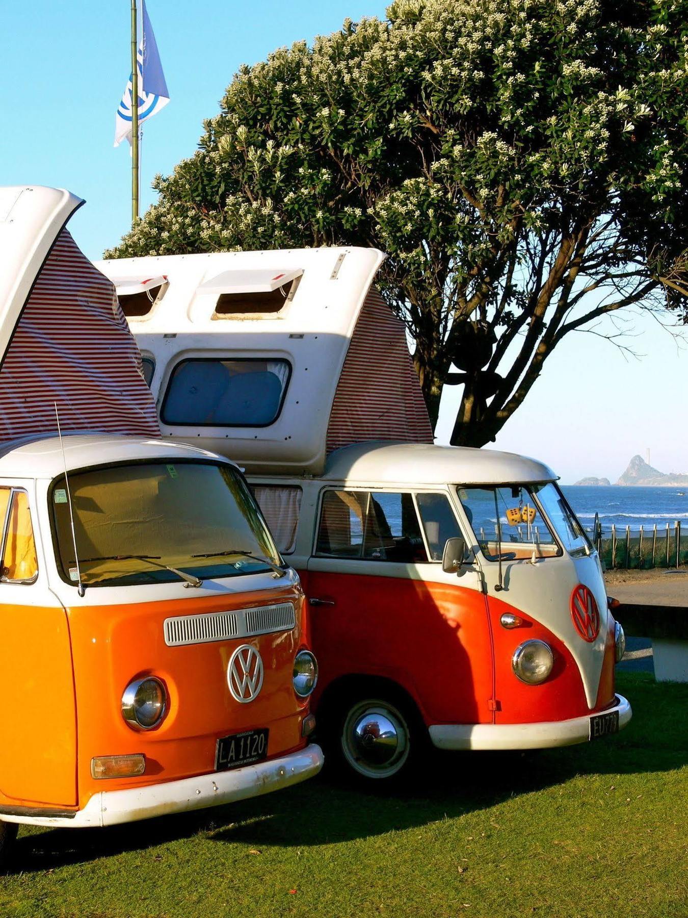 Oakura Beach Holiday Park Eksteriør billede