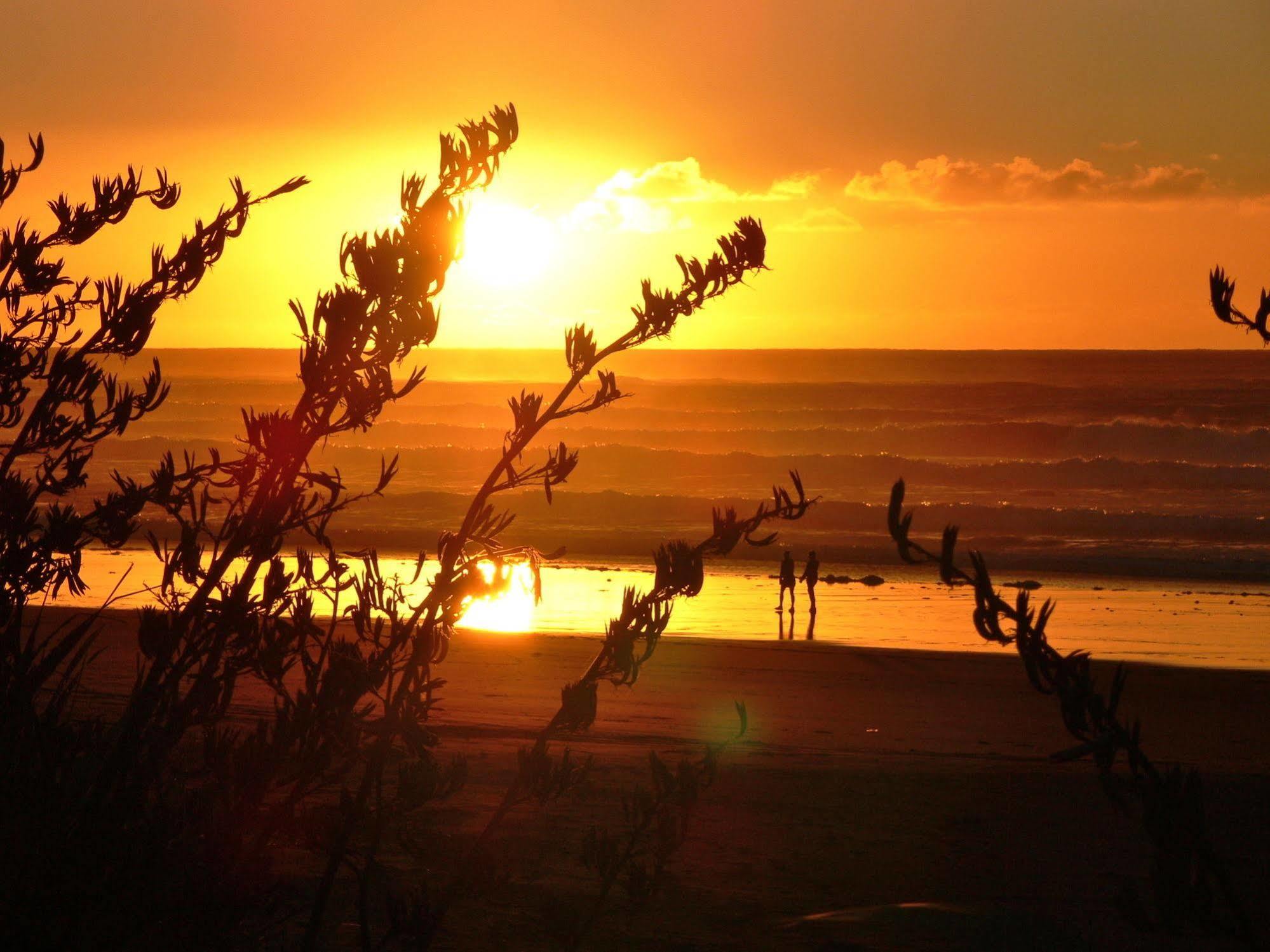 Oakura Beach Holiday Park Eksteriør billede